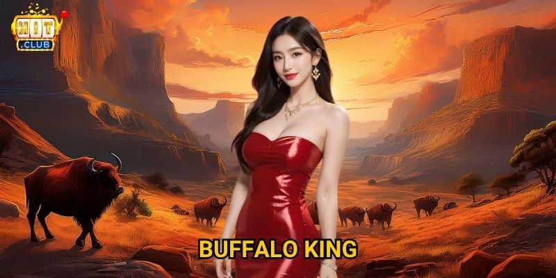 Buffalo King
